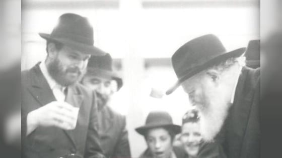 המשב"ק של הרבי: הרב חנניה סיני דוד הלברשטאם זצ"ל