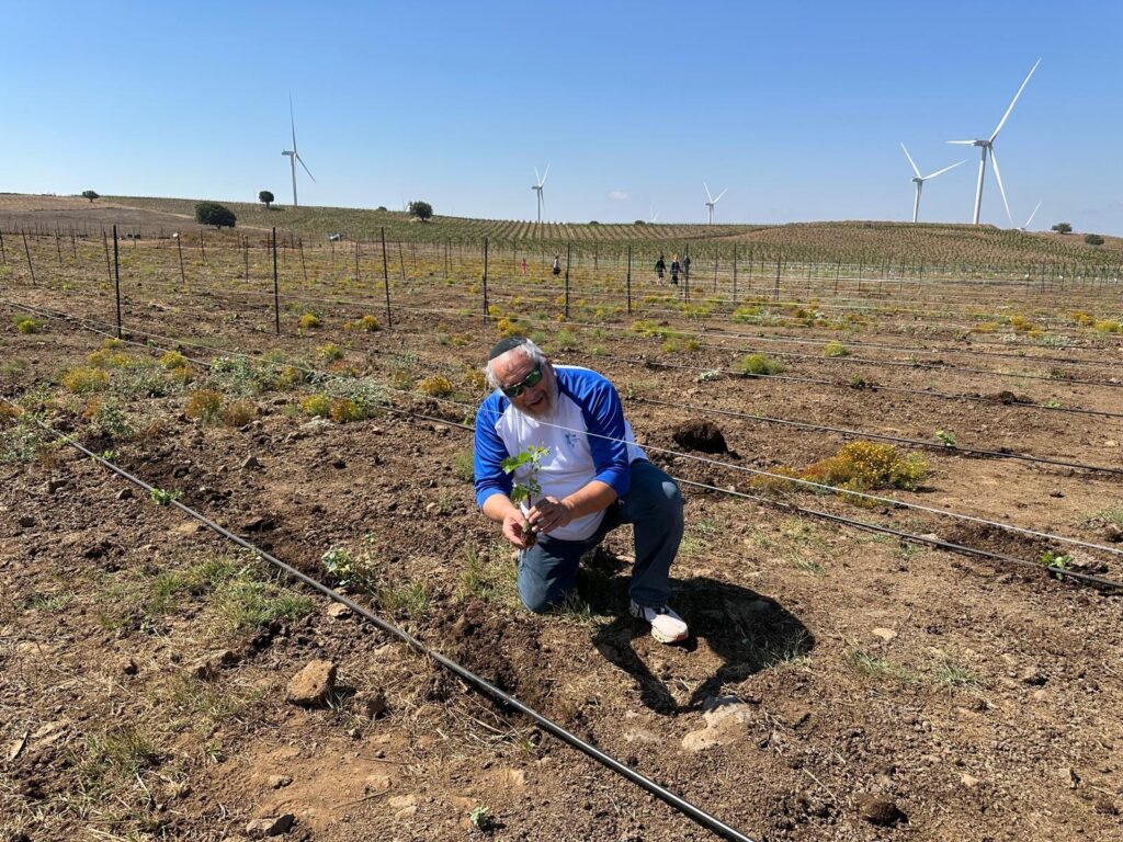 דירת יוקרה בירושלים - והטבת חנוכה מיוחדת הכוללת 8% הנחה והגרלת בונוס של 15,000 דולר עד נר שמיני
