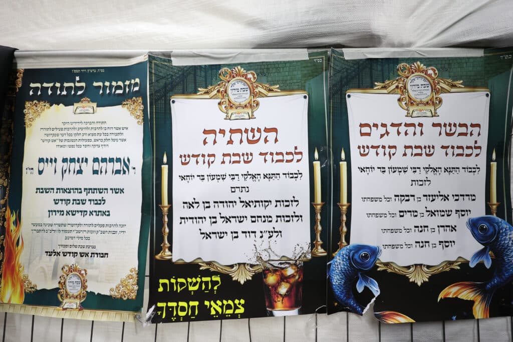 גלריה: הגה"צ רבי אלימלך בידרמן עם חבורת אש קודש 