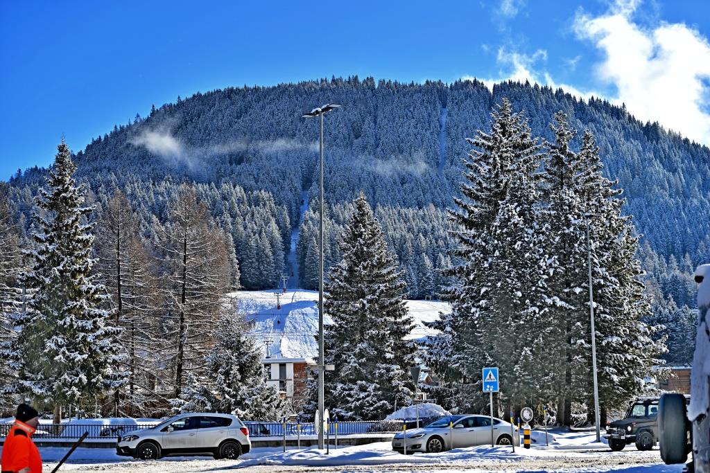 צפו ותתפעלו: גלריית תמונות מרהיבות מדאבוס המושלגת