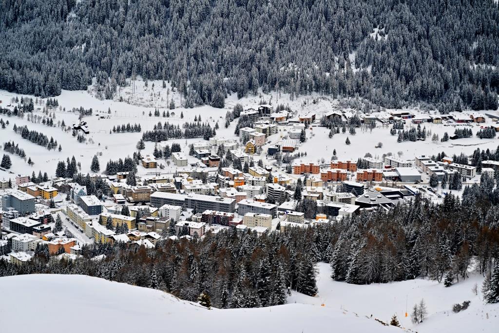 צפו ותתפעלו: גלריית תמונות מרהיבות מדאבוס המושלגת