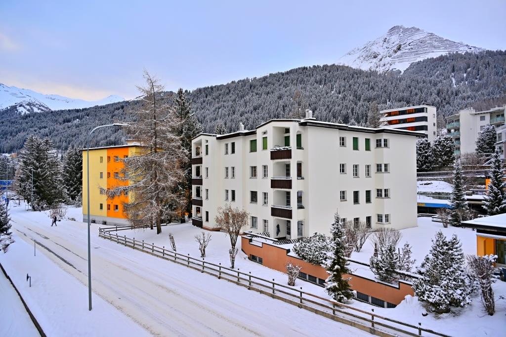 צפו ותתפעלו: גלריית תמונות מרהיבות מדאבוס המושלגת