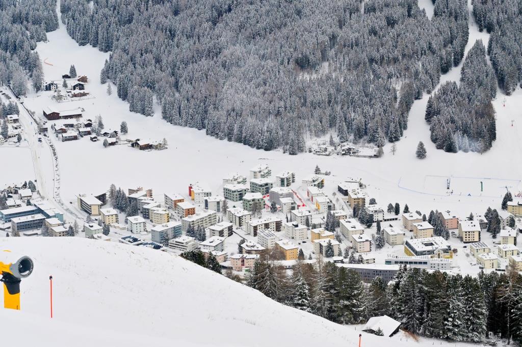 צפו ותתפעלו: גלריית תמונות מרהיבות מדאבוס המושלגת