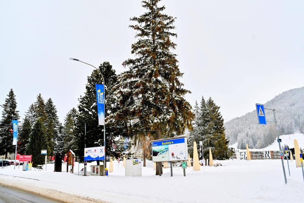 צפו ותתפעלו: גלריית תמונות מרהיבות מדאבוס המושלגת