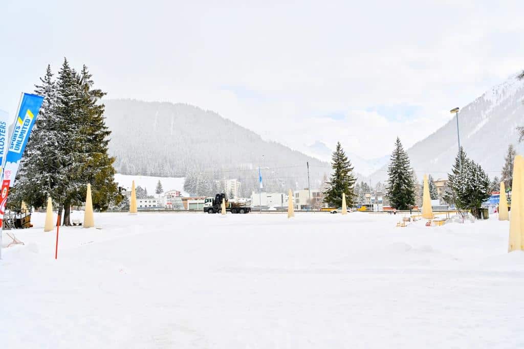 צפו ותתפעלו: גלריית תמונות מרהיבות מדאבוס המושלגת