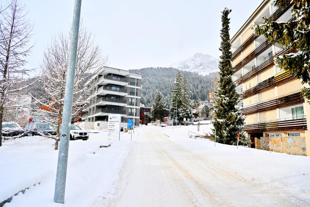 צפו ותתפעלו: גלריית תמונות מרהיבות מדאבוס המושלגת