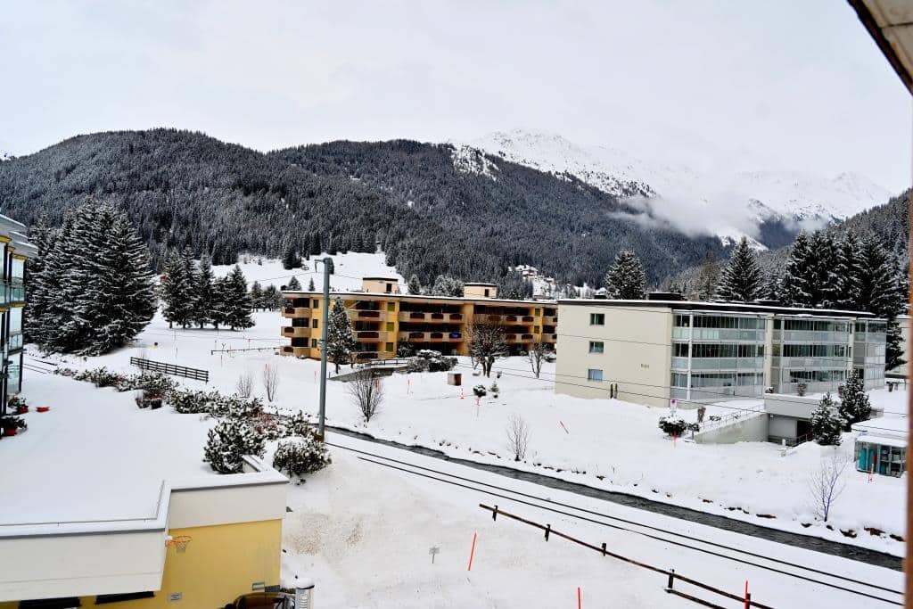 צפו ותתפעלו: גלריית תמונות מרהיבות מדאבוס המושלגת
