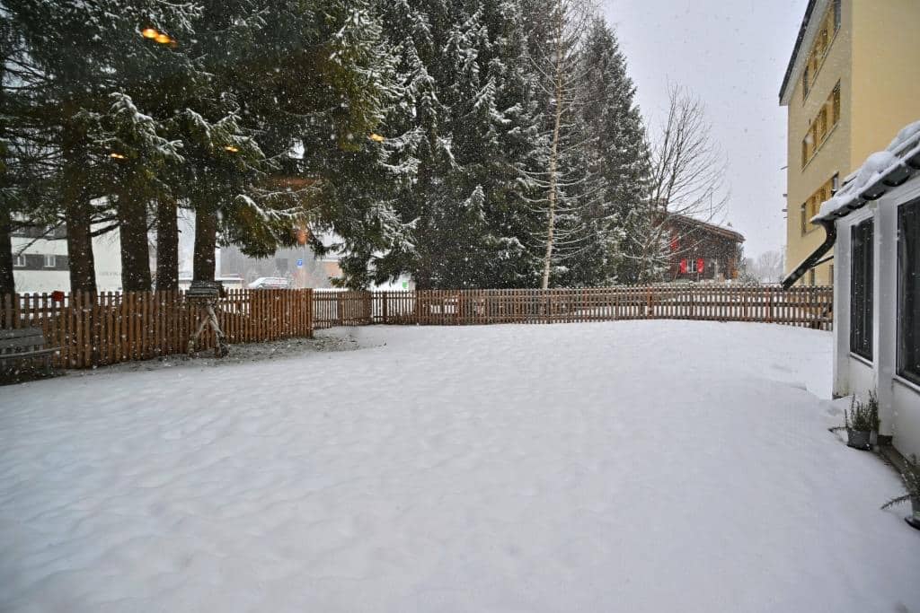 צפו ותתפעלו: גלריית תמונות מרהיבות מדאבוס המושלגת