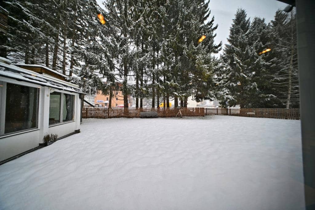 צפו ותתפעלו: גלריית תמונות מרהיבות מדאבוס המושלגת