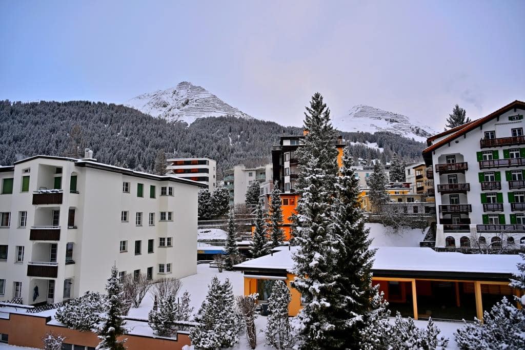 צפו ותתפעלו: גלריית תמונות מרהיבות מדאבוס המושלגת