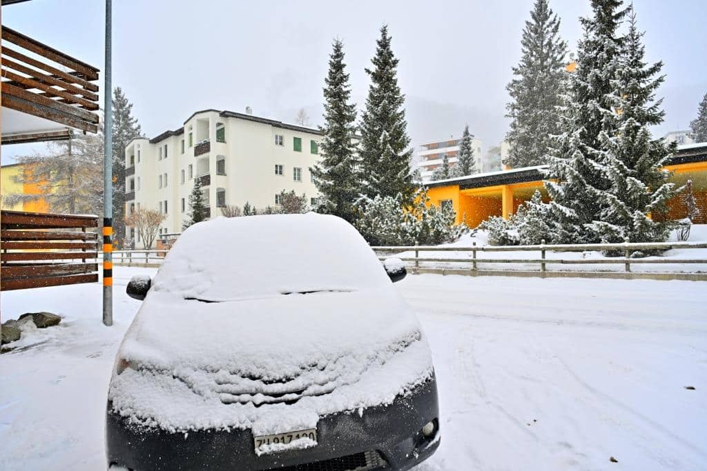 צפו ותתפעלו: גלריית תמונות מרהיבות מדאבוס המושלגת