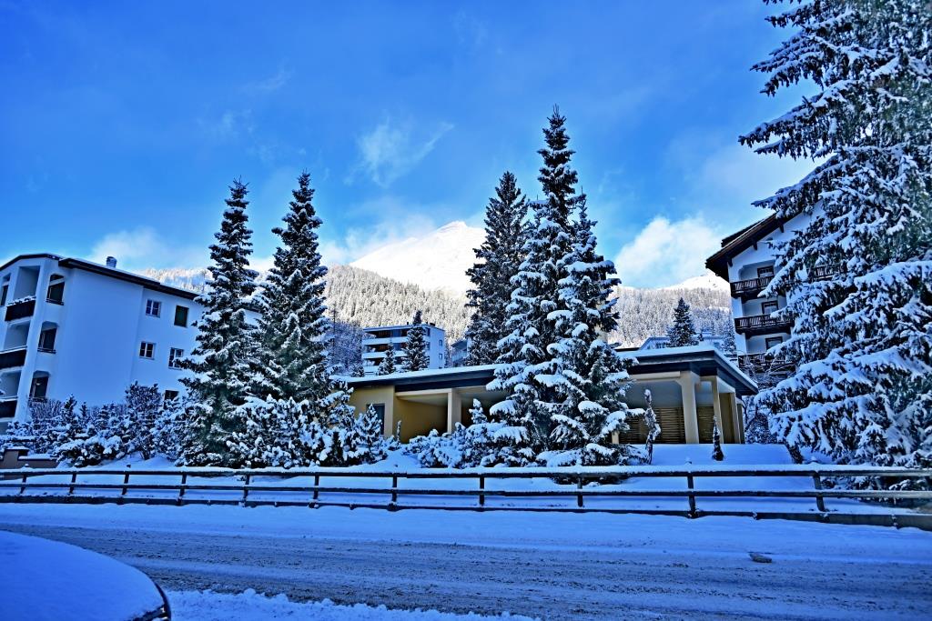 צפו ותתפעלו: גלריית תמונות מרהיבות מדאבוס המושלגת