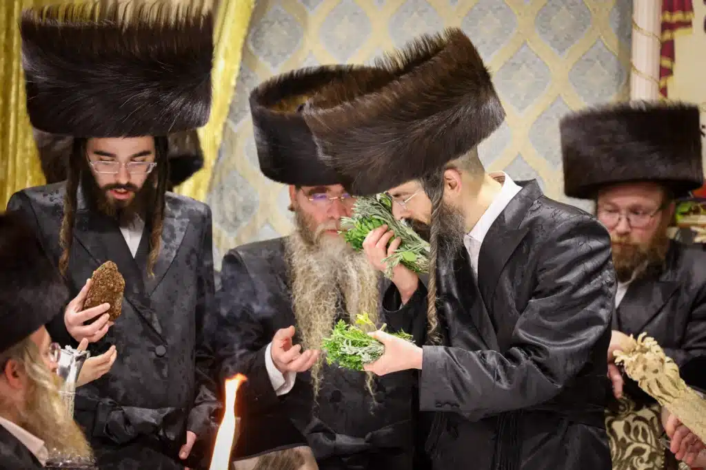 עריכת הטיש ושמחת הפארשפיל לבן האדמו"ר מזוועהיל