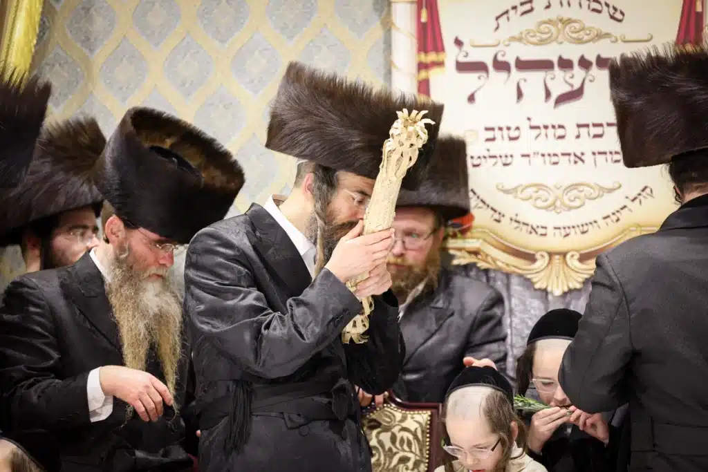 עריכת הטיש ושמחת הפארשפיל לבן האדמו"ר מזוועהיל