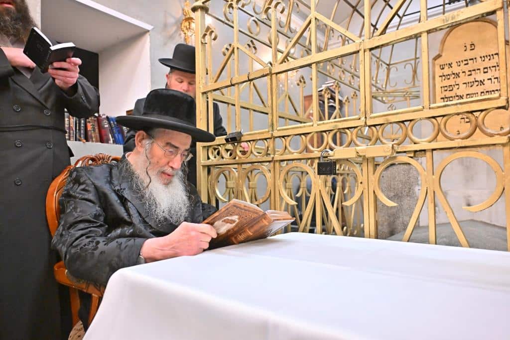 דמעות בציון ושבת בקראקא: מסע הנאמנים של אלכסנדר