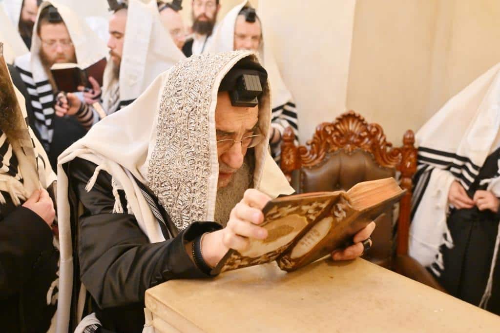 דמעות בציון ושבת בקראקא: מסע הנאמנים של אלכסנדר