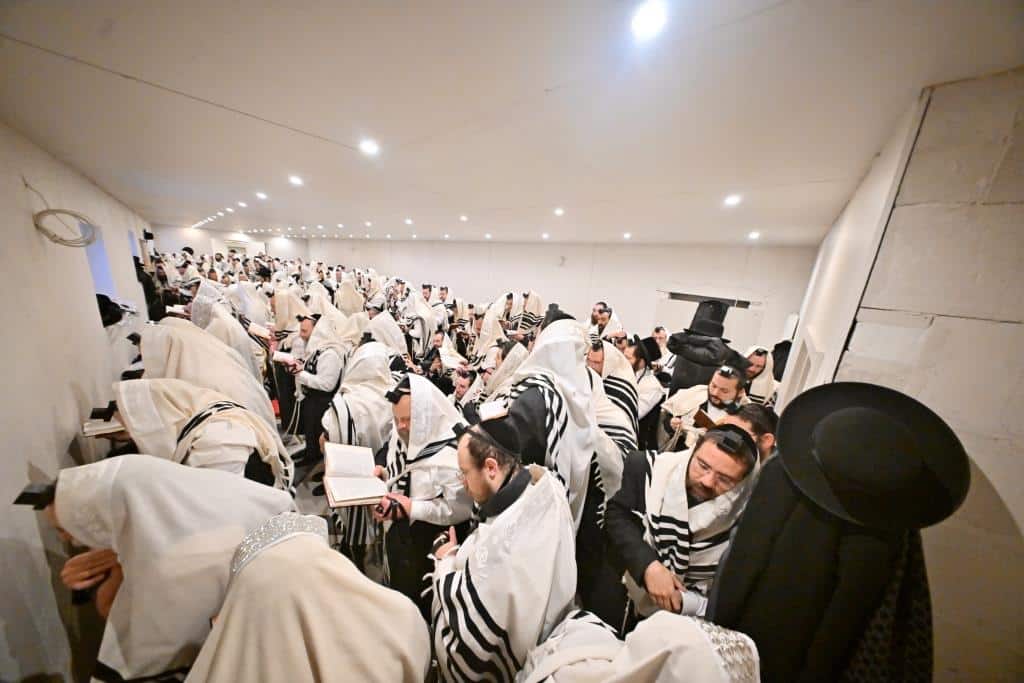 דמעות בציון ושבת בקראקא: מסע הנאמנים של אלכסנדר