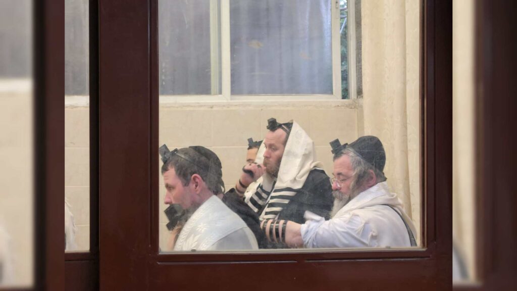 איצקוביץ': זבוב על המעקה והתפילה של עוצמה יהודית