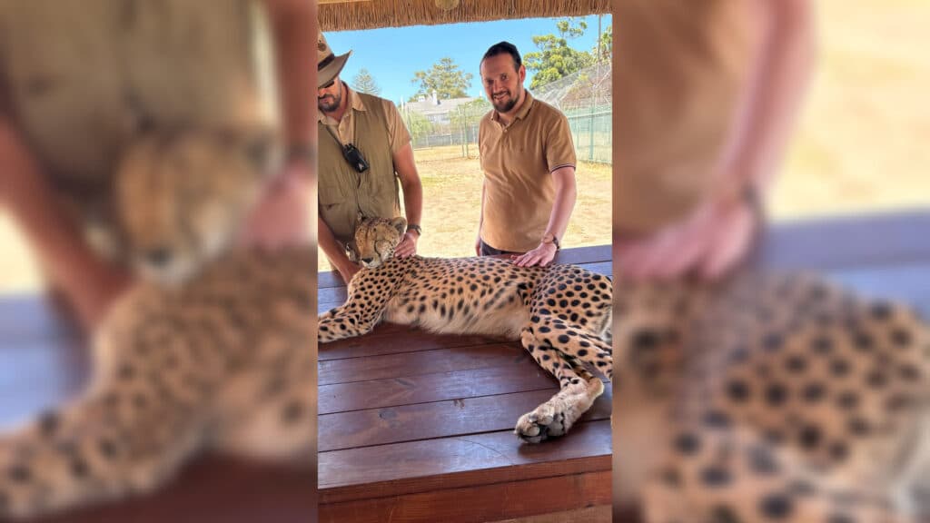 איצקוביץ': זבוב על המעקה והתפילה של עוצמה יהודית