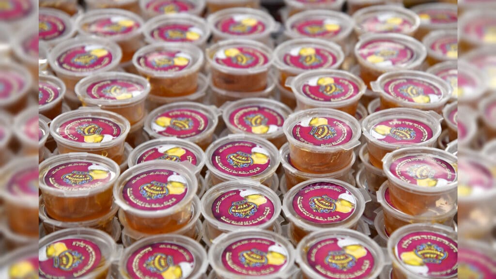 ט"ו בשבט בחצר הקודש קרעטשניף קרית-גת