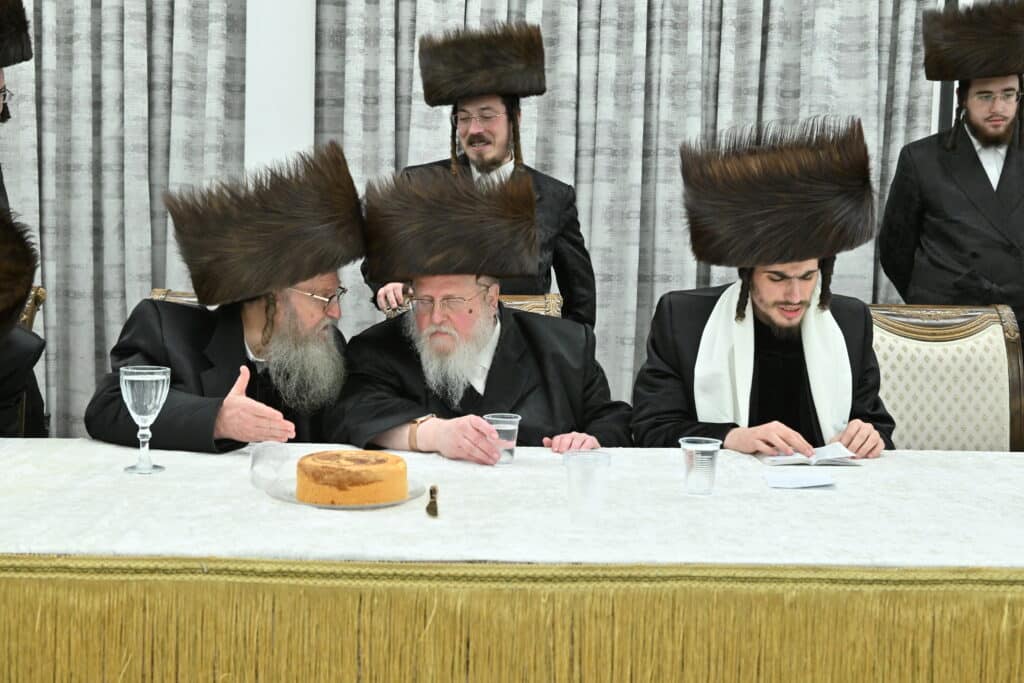 שמחת החתונה בבית מעליץ-אלעסק אנטניא