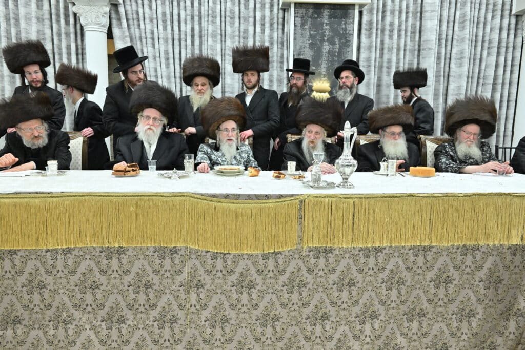 שמחת החתונה בבית מעליץ-אלעסק אנטניא