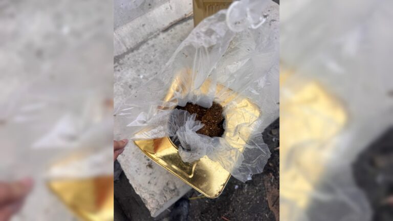 בתוך שימורי עלי גפן: סוכלה הברחת ענק של טבק לעזה