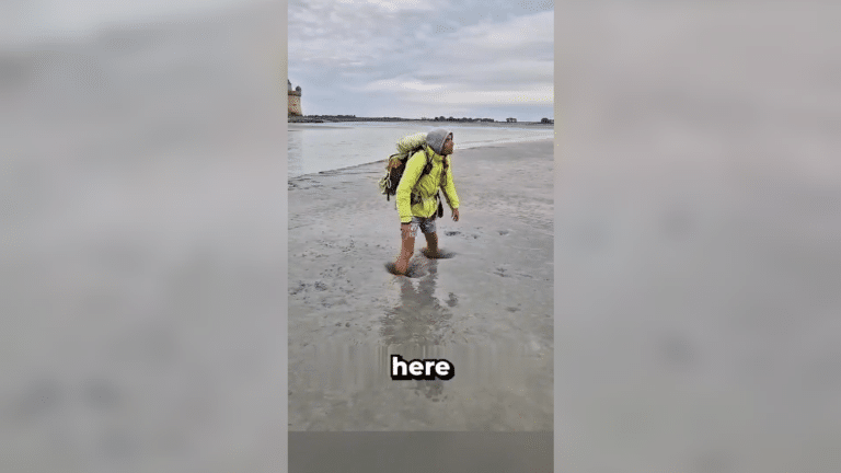 תיעוד מלחיץ: מה עושים כשנלכדים בביצה