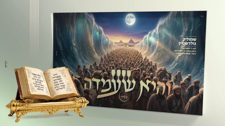 סינגלים & קליפים