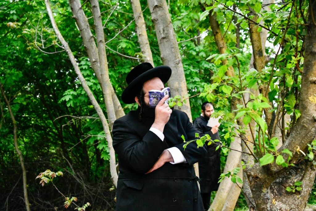 ההילולא ה-101: רגעי השיא בקרעסטיר, החידושים והשינויים