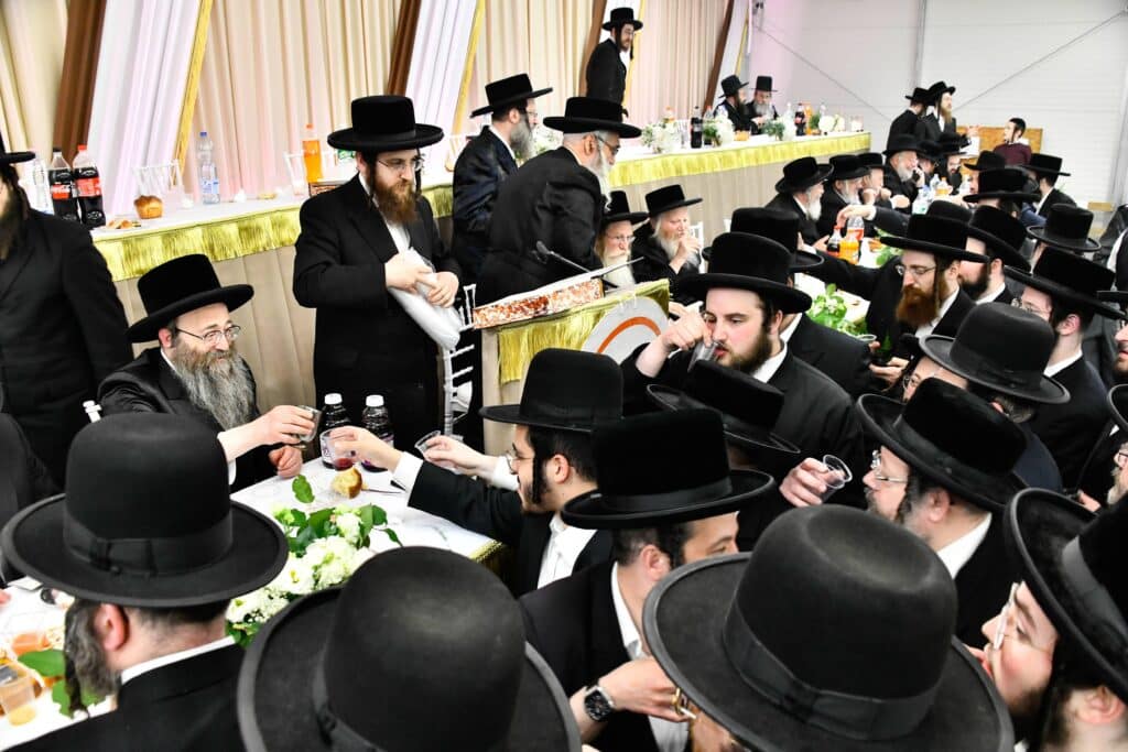 ההילולא ה-101: רגעי השיא בקרעסטיר, החידושים והשינויים