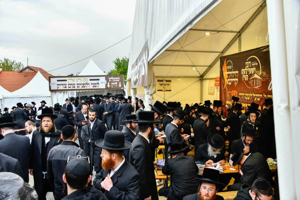 ההילולא ה-101: רגעי השיא בקרעסטיר, החידושים והשינויים