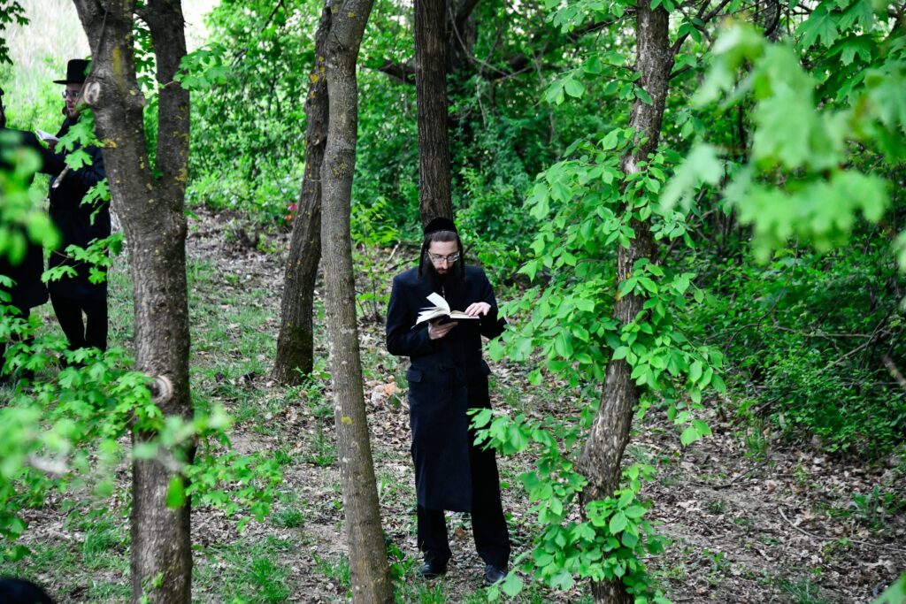 ההילולא ה-101: רגעי השיא בקרעסטיר, החידושים והשינויים