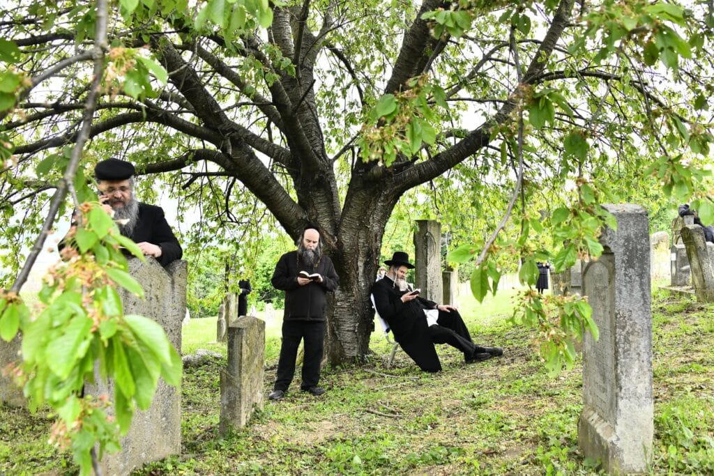 ההילולא ה-101: רגעי השיא בקרעסטיר, החידושים והשינויים