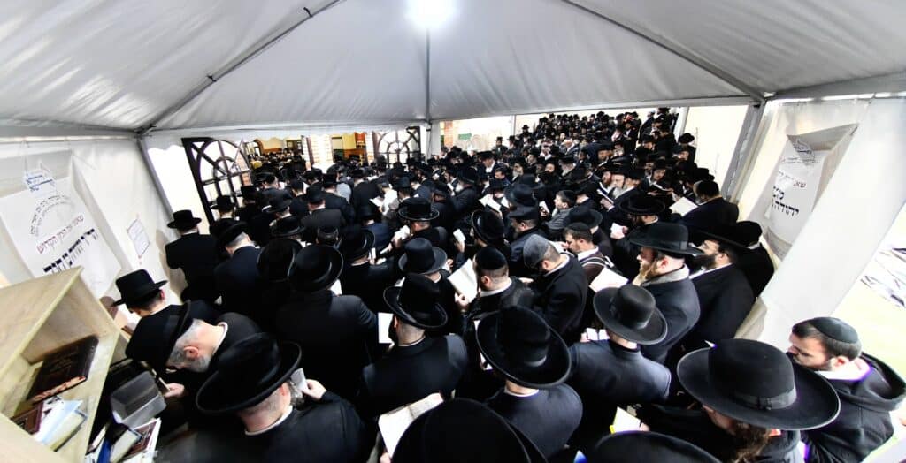 ההילולא ה-101: רגעי השיא בקרעסטיר, החידושים והשינויים