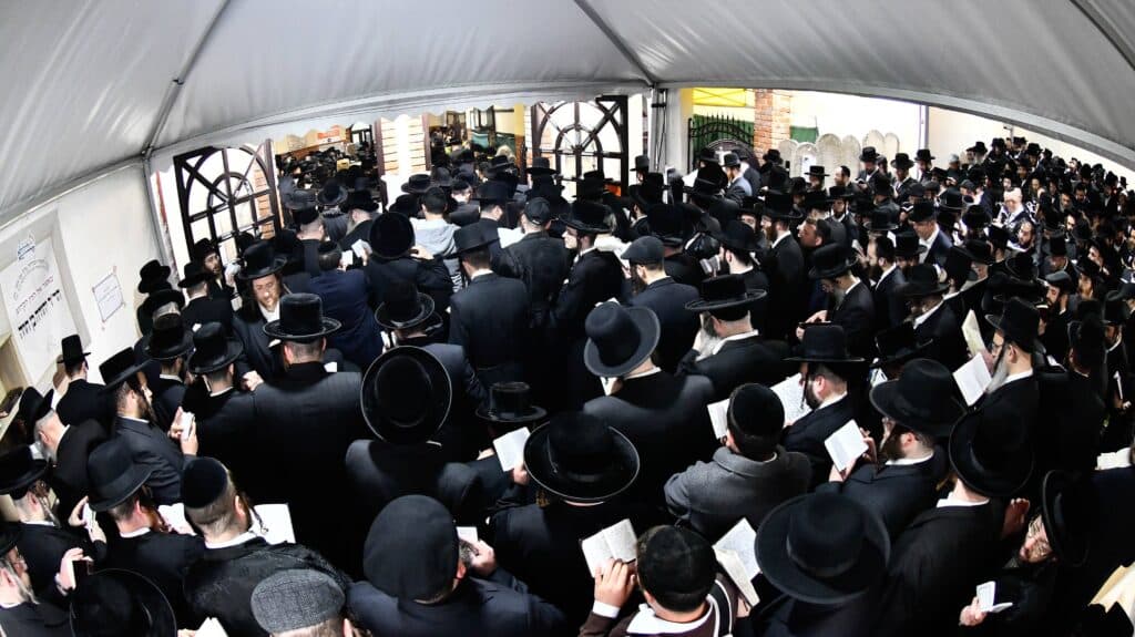 ההילולא ה-101: רגעי השיא בקרעסטיר, החידושים והשינויים