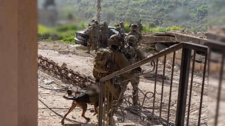 50 תקיפות אוויריות ועשרות מחבלים חוסלו בדרום לבנון