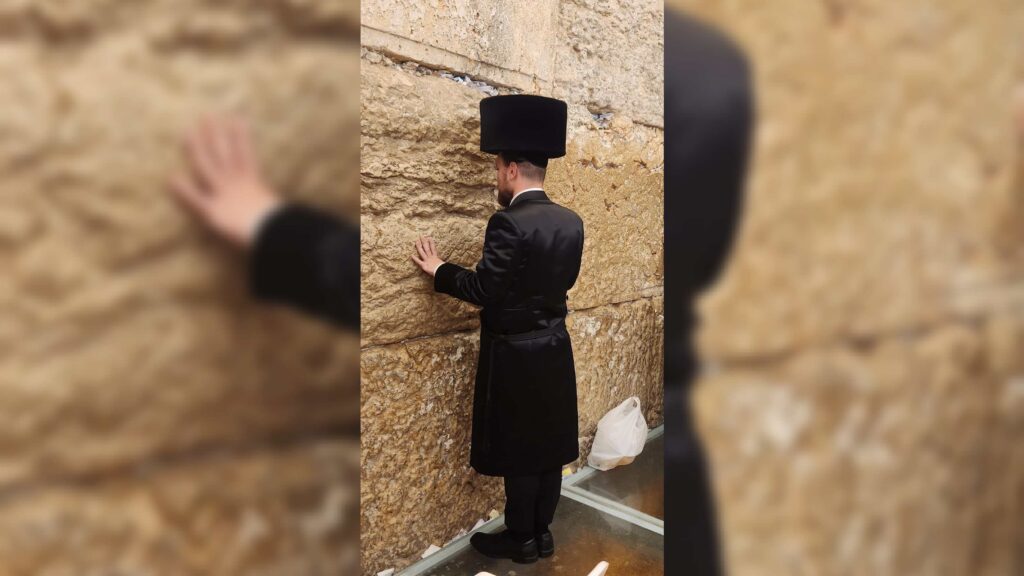 איצקוביץ': הדובר שנוטש והפקת הוואקל הענק שבדרך