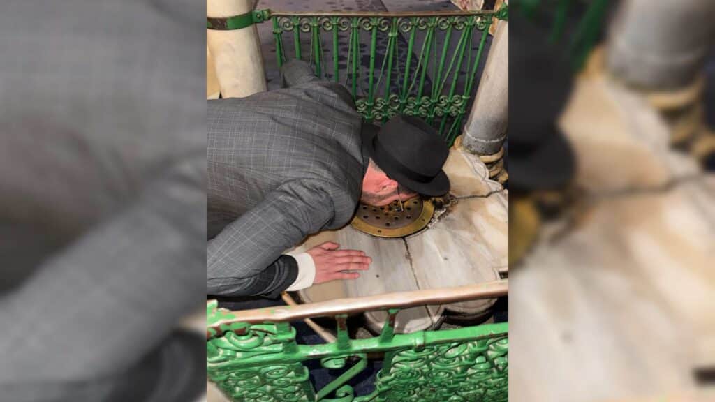 איצקוביץ': הדובר שנוטש והפקת הוואקל הענק שבדרך