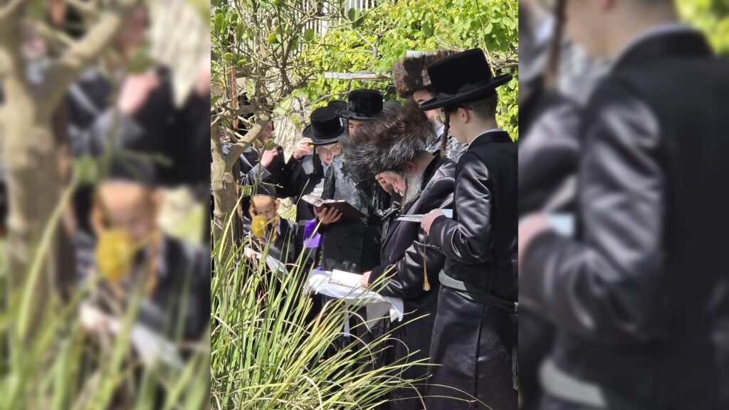 המשב"ק: זעקות בקרעסטיר, הבייסבול של רה"י והדינר שהסתבך