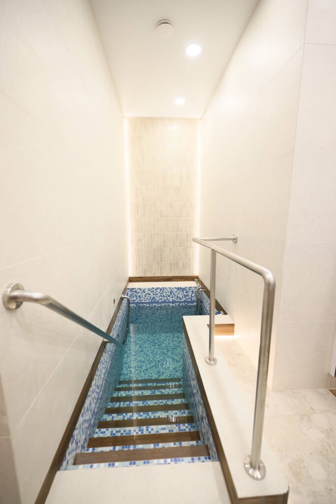 היסטוריה בגור: נגאלו דירות אדמו"רי שושלת גור בפולין