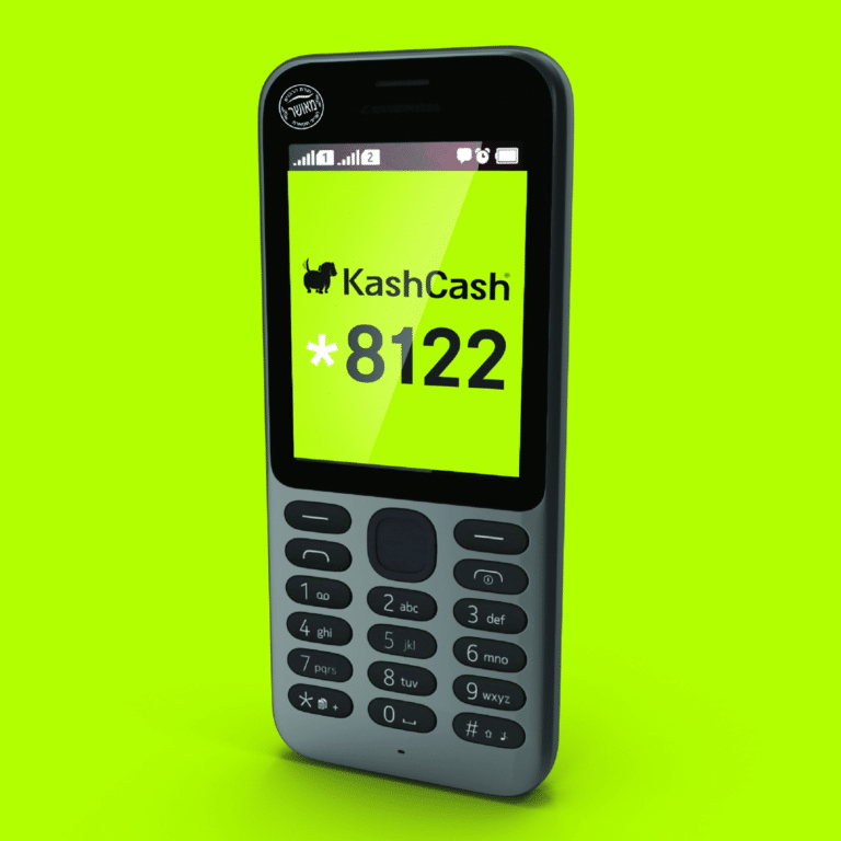 מיליון וחצי ישראלים משתמשים ב'קשקאש'