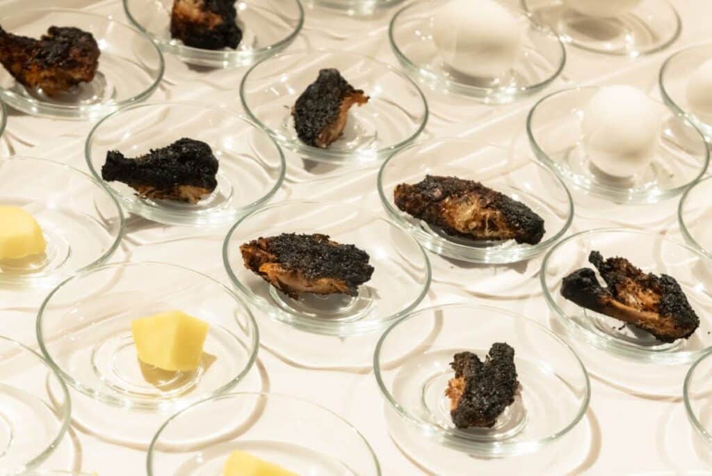 אלפים הסבו בלילי הסדר המפוארים במוסקבה