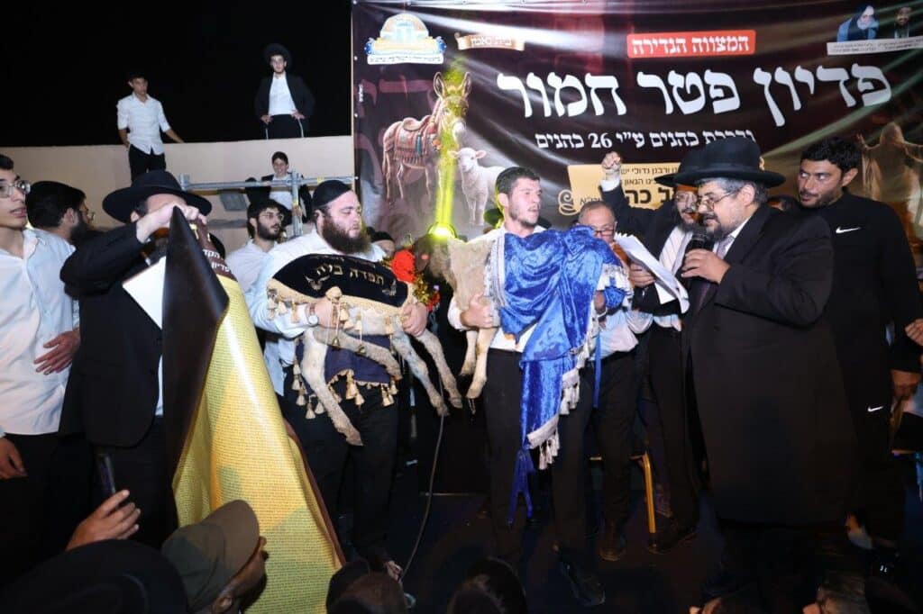 26 כהנים וחמור אחד: כך חגגו במושב ברכיה את המצווה הנדירה