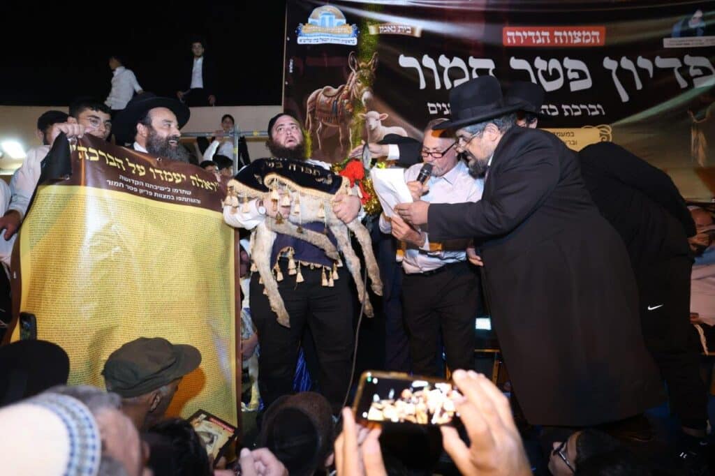 26 כהנים וחמור אחד: כך חגגו במושב ברכיה את המצווה הנדירה