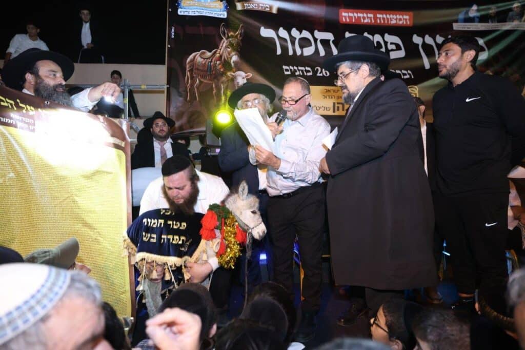26 כהנים וחמור אחד: כך חגגו במושב ברכיה את המצווה הנדירה