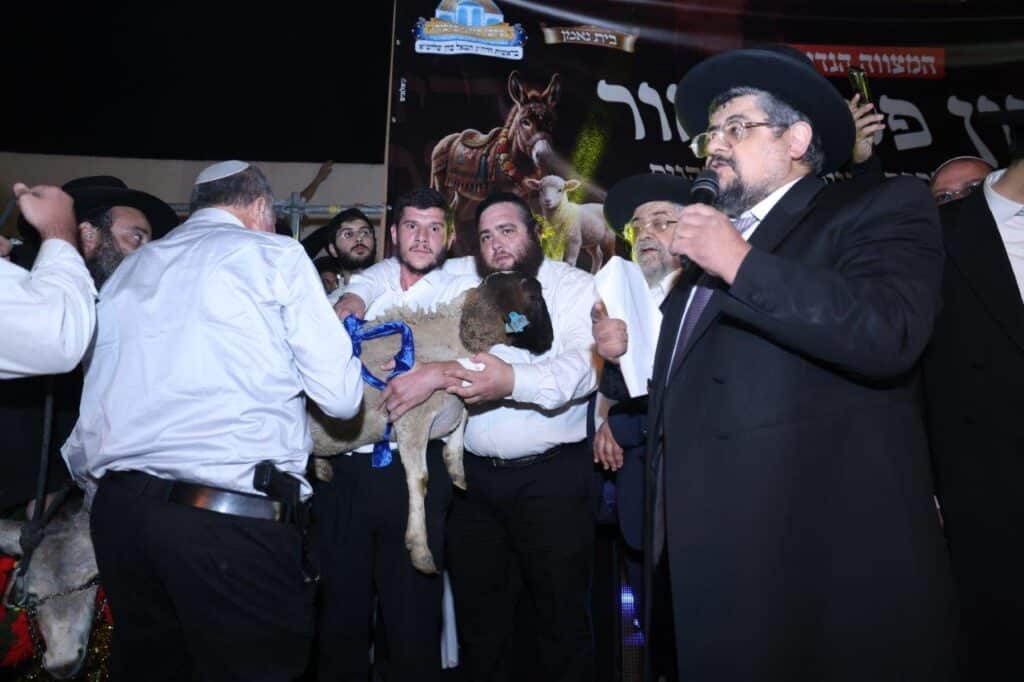 26 כהנים וחמור אחד: כך חגגו במושב ברכיה את המצווה הנדירה
