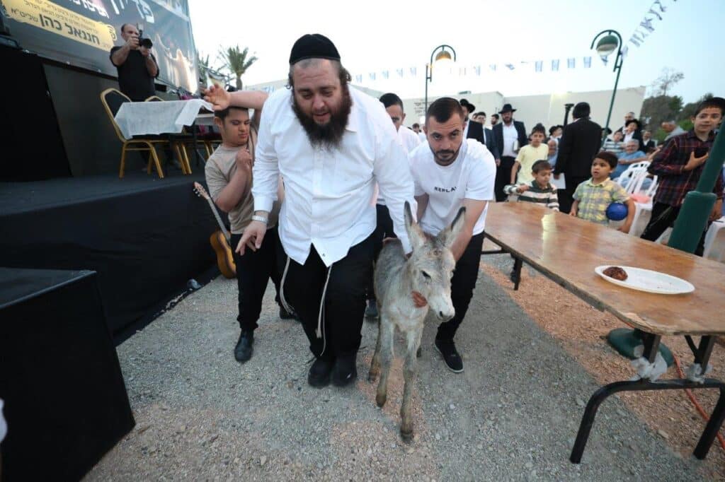 26 כהנים וחמור אחד: כך חגגו במושב ברכיה את המצווה הנדירה