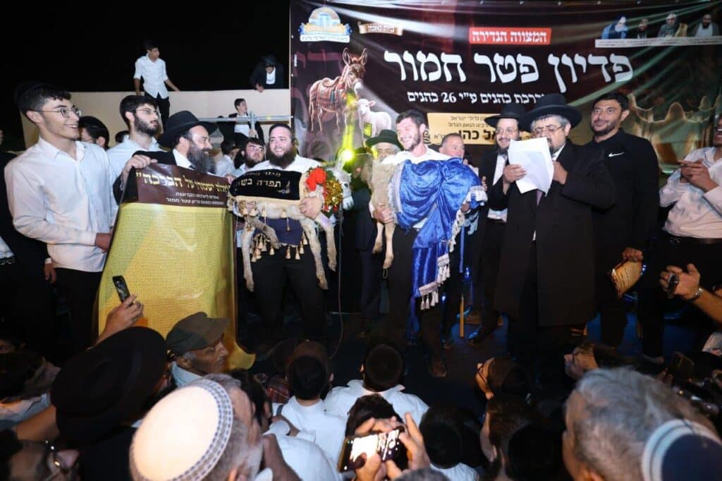 26 כהנים וחמור אחד: כך חגגו במושב ברכיה את המצווה הנדירה