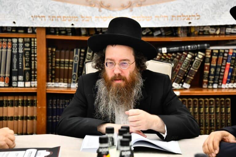 בבית הגאון רבי עמרם פריד שליט"א: פסקי הלכה והוראה להפקדה מהודרת